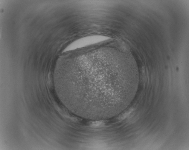 X0000068890088200605261856