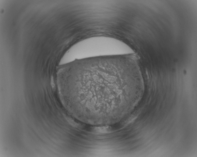 X0000068890089200605261856