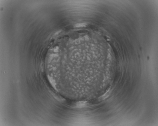 X0000068890090200605261856