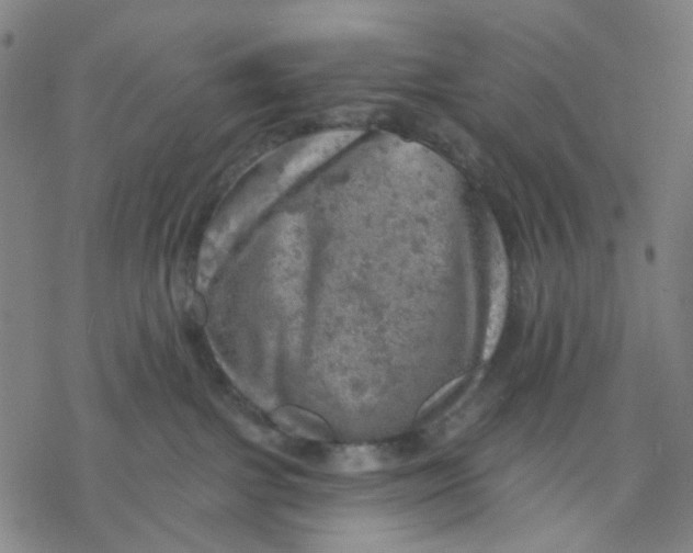 X0000068890091200605261856