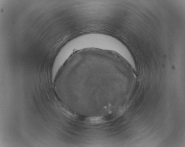 X0000068890093200605261856