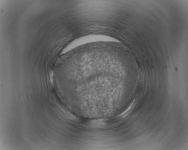 X0000068890094200605261856