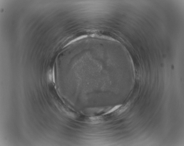 X0000068890095200605261856