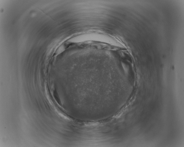 X0000068890097200605261856