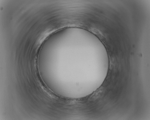 X0000068890098200605261856