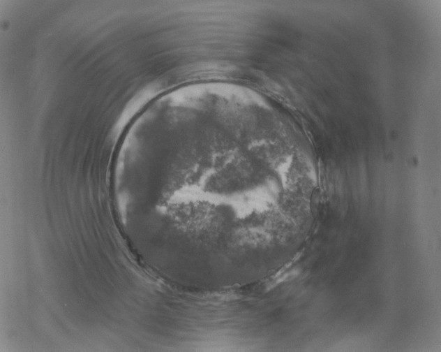 X0000068890099200605261856