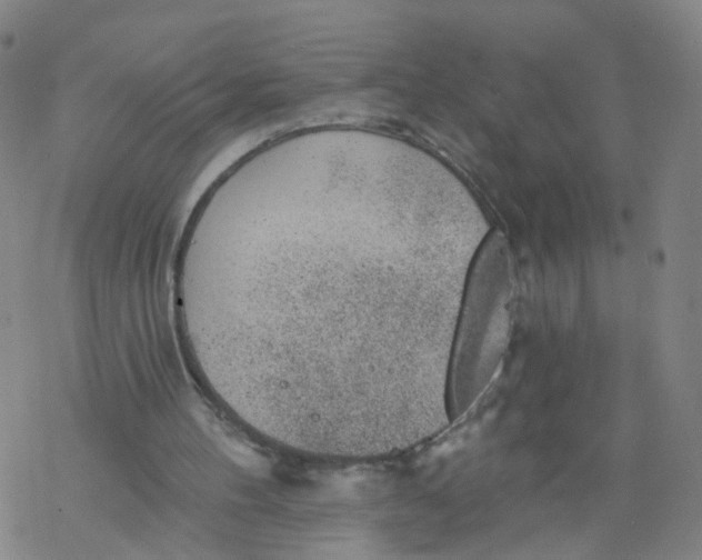 X0000068890100200605261856