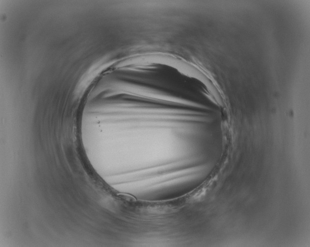 X0000068890103200605261856