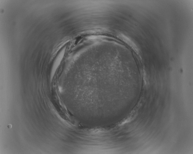 X0000068890105200605261856