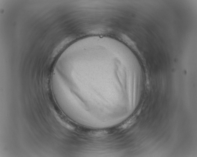 X0000068890106200605261856