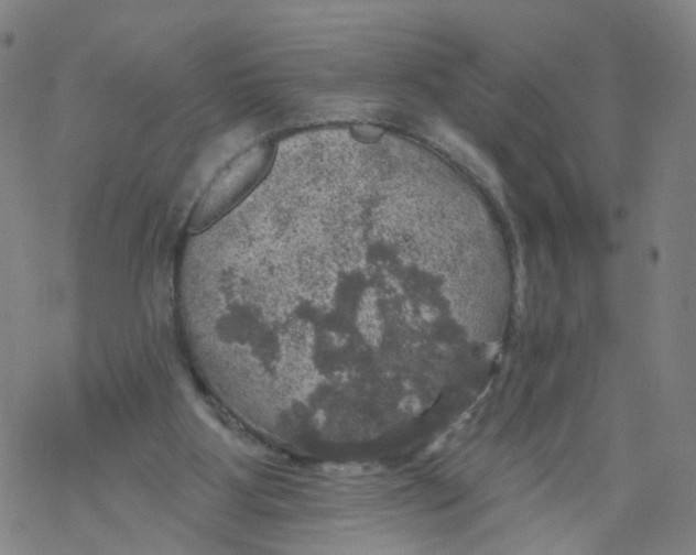 X0000068890107200605261856