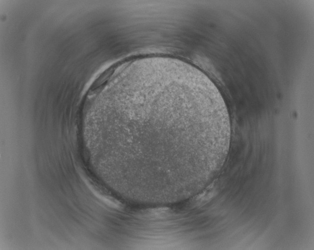 X0000068890108200605261856