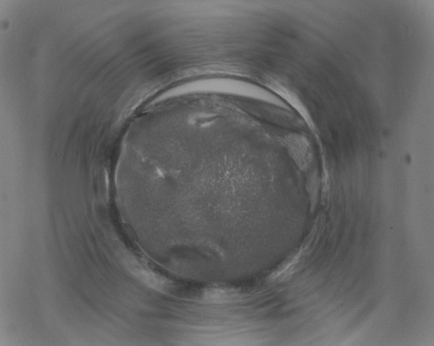 X0000068890109200605261856