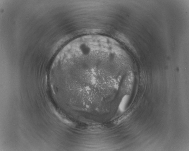 X0000068890110200605261855