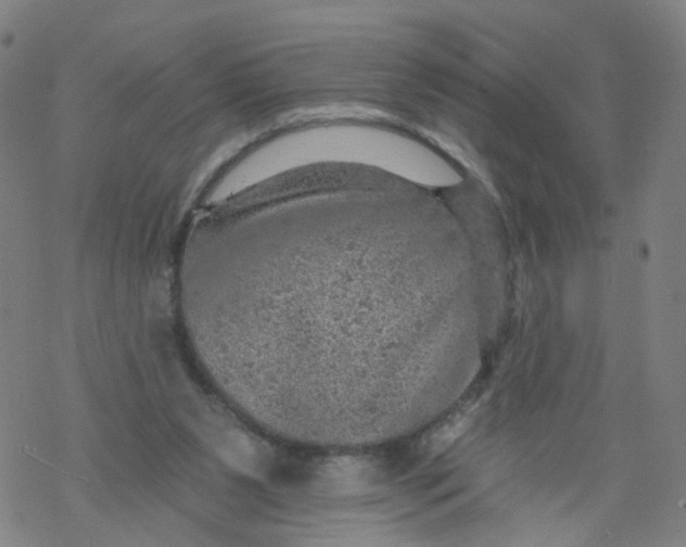 X0000068890111200605261855