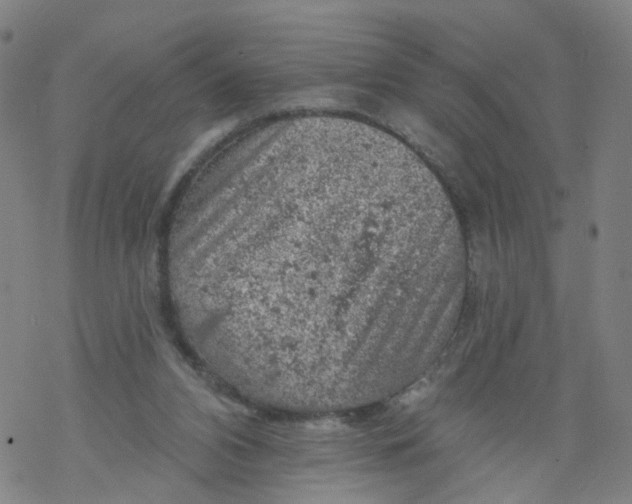 X0000068890112200605261855