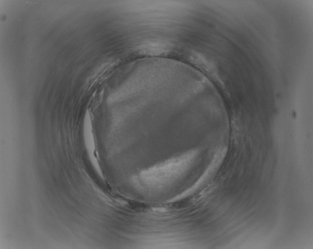 X0000068890114200605261855