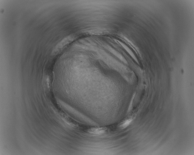 X0000068890117200605261855