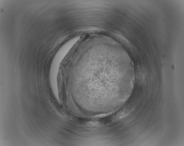 X0000068890119200605261855