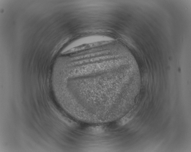 X0000068890120200605261855