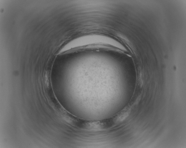 X0000068890121200605261855