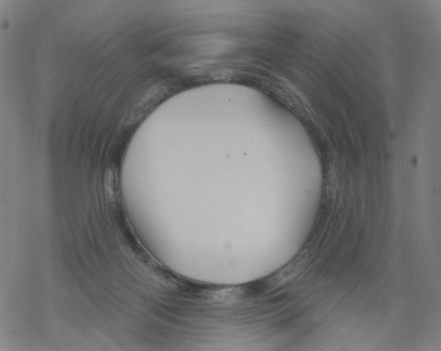 X0000068890122200605261855