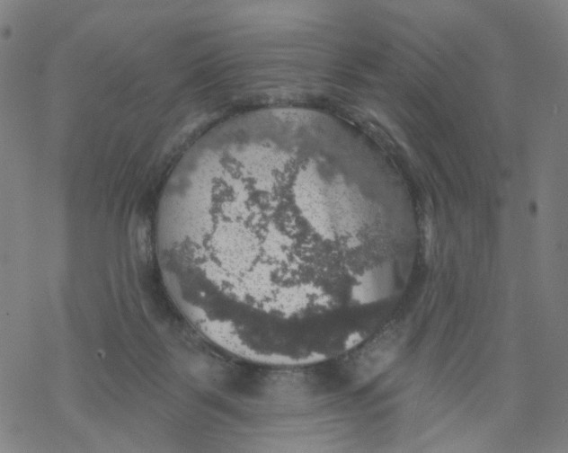 X0000068890123200605261855