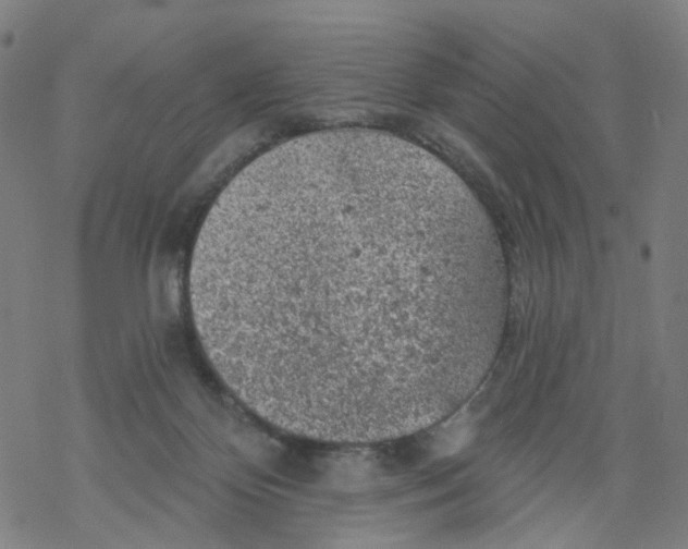 X0000068890124200605261855