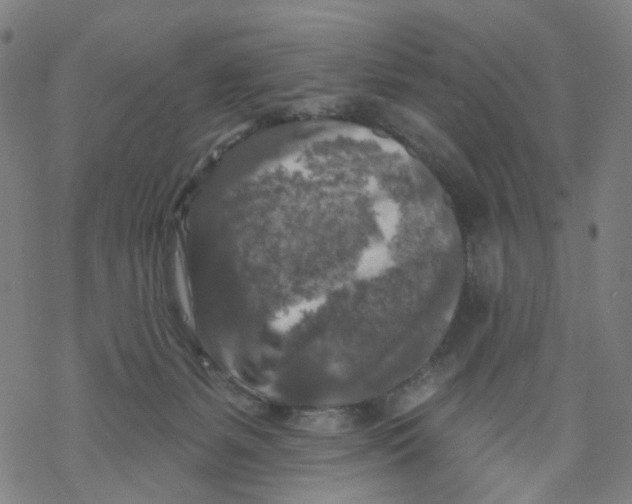 X0000068890127200605261855