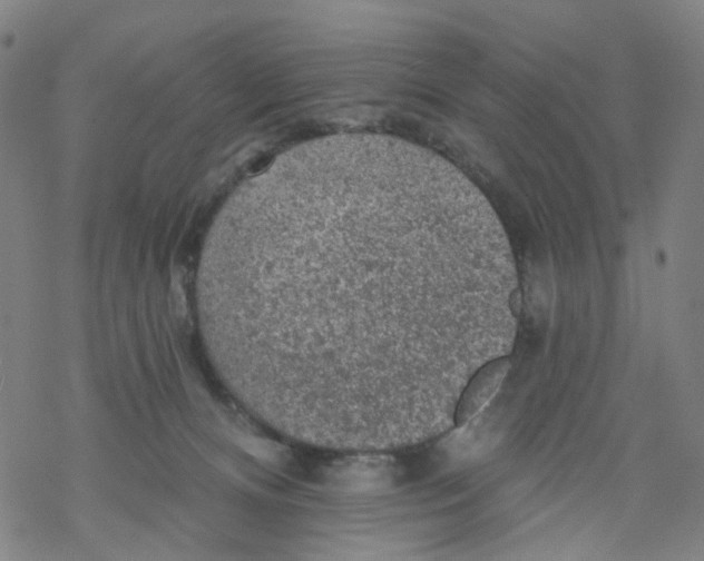 X0000068890128200605261855