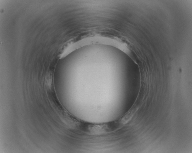 X0000068890129200605261855