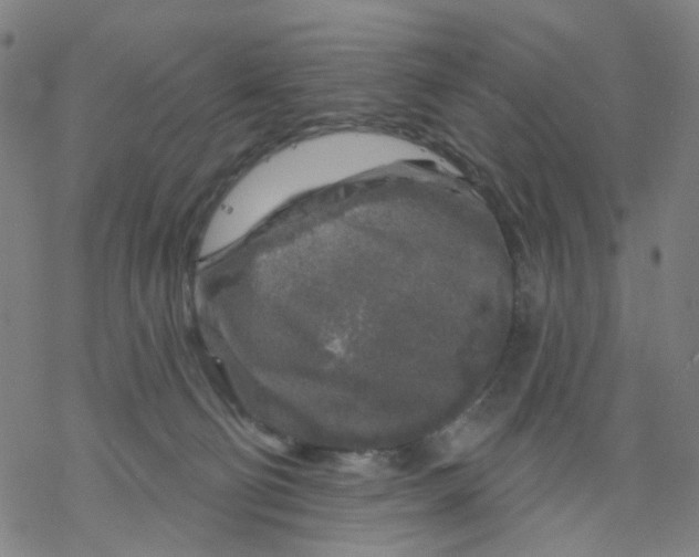 X0000068890130200605261855