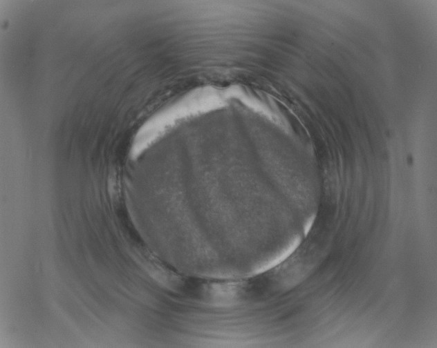 X0000068890134200605261855