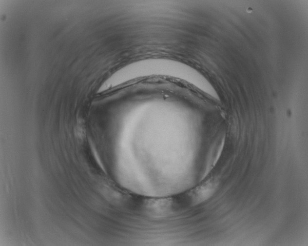 X0000068890135200605261855