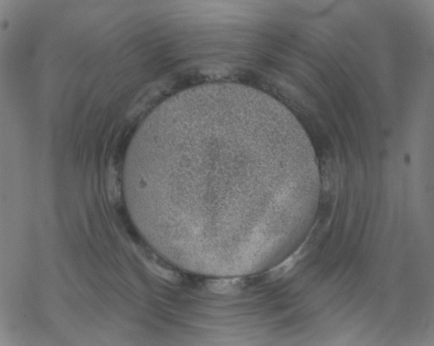 X0000068890136200605261855