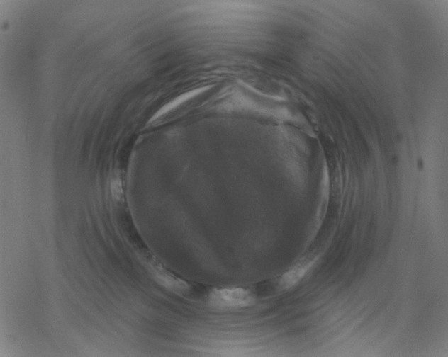 X0000068890137200605261855