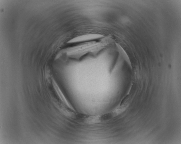 X0000068890138200605261855