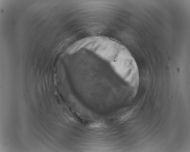 X0000068890139200605261855