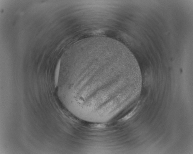 X0000068890140200605261855