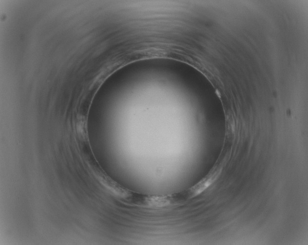 X0000068890141200605261855