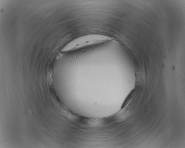 X0000068890142200605261855