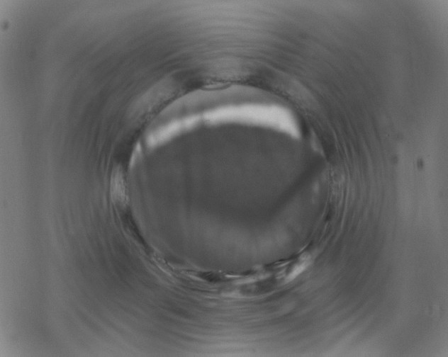 X0000068890143200605261855