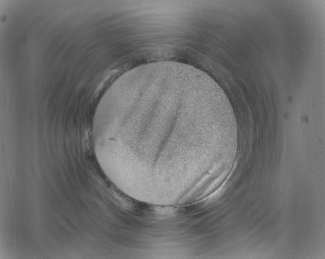 X0000068890144200605261855