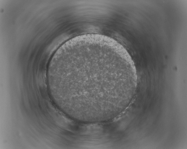 X0000068890146200605261854