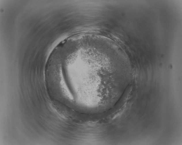 X0000068890148200605261854