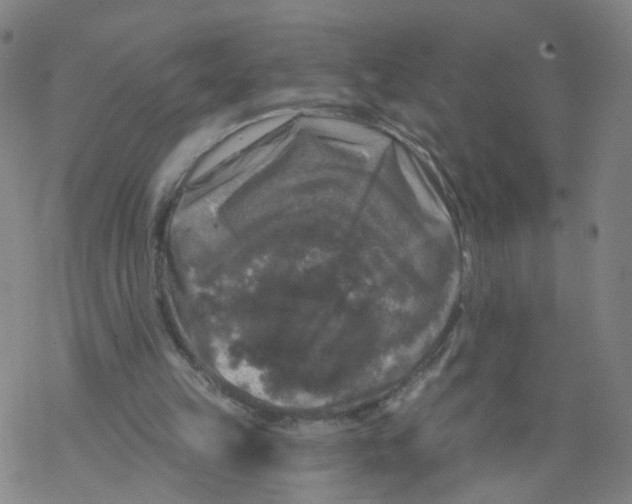 X0000068890149200605261854