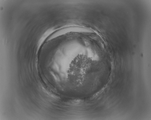 X0000068890152200605261854