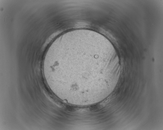 X0000068890155200605261854