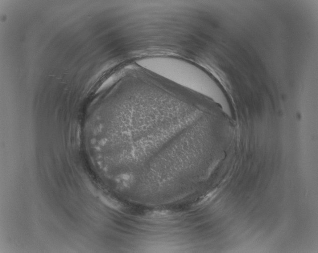 X0000068890157200605261854