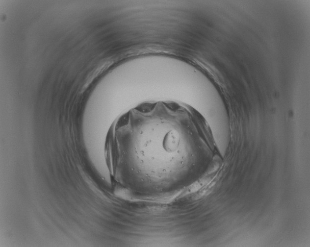 X0000068890158200605261854